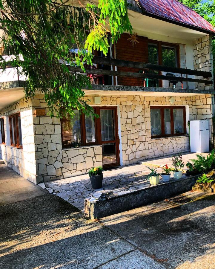 Dalia Otel Iwonicz-Zdrój Dış mekan fotoğraf