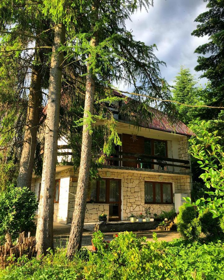 Dalia Otel Iwonicz-Zdrój Dış mekan fotoğraf
